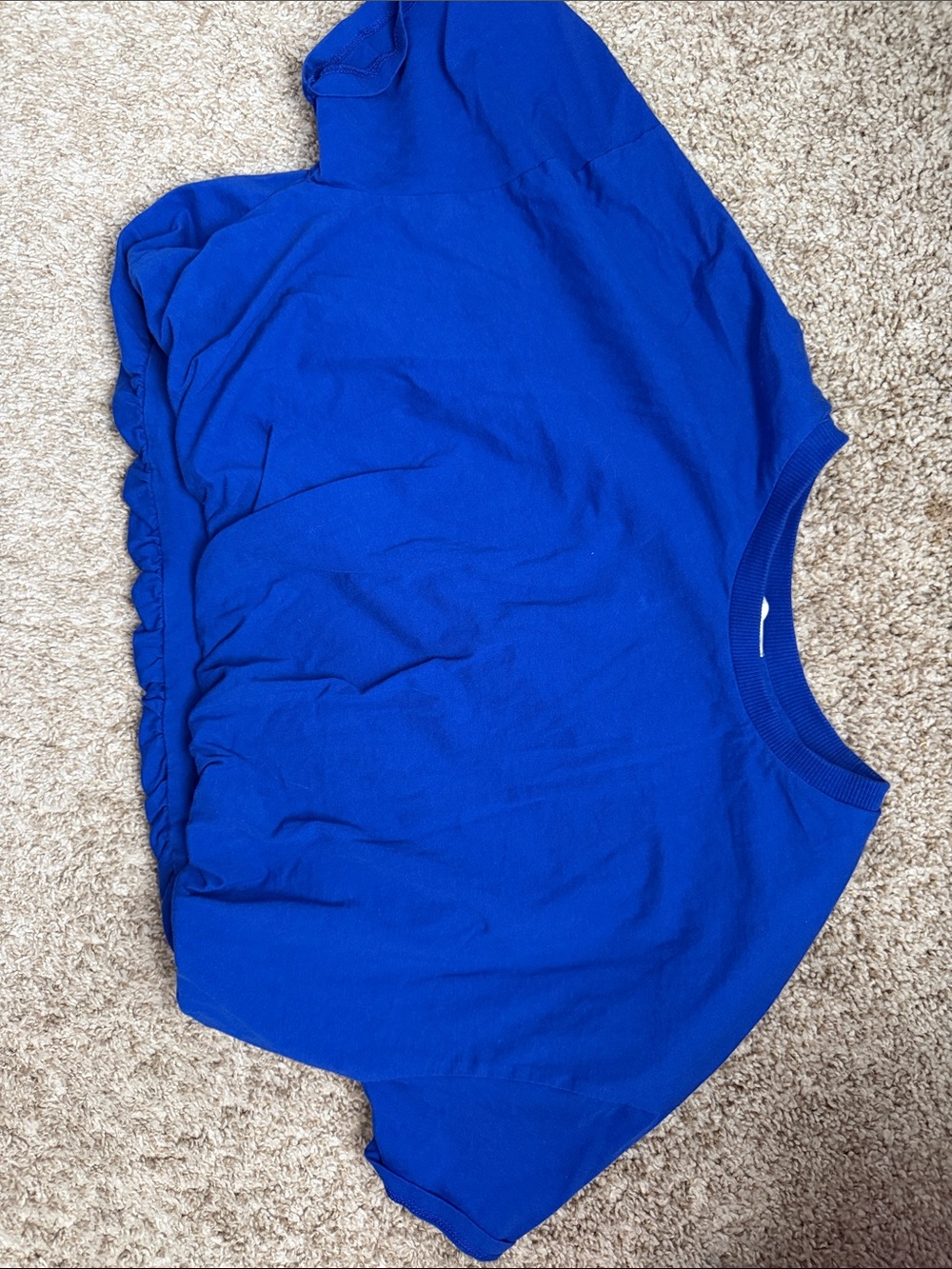 Pull&Bear Royal Blue Short Sleeve Crop Sweatshirt